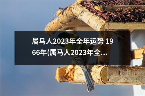 属马人2023年全年运势 1966年(属马人2023年全年运势 1966年的马)