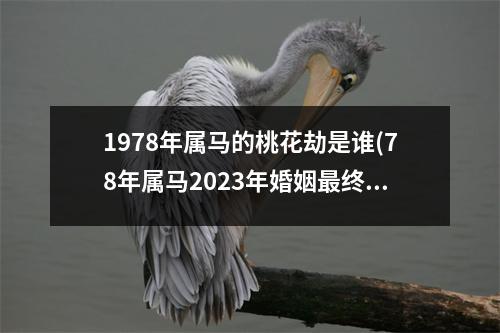 1978年属马的桃花劫是谁(78年属马2023年婚姻终归宿)