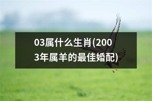 03属什么生肖(2003年属羊的佳婚配)