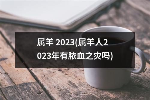 属羊 2023(属羊人2023年有脓血之灾吗)