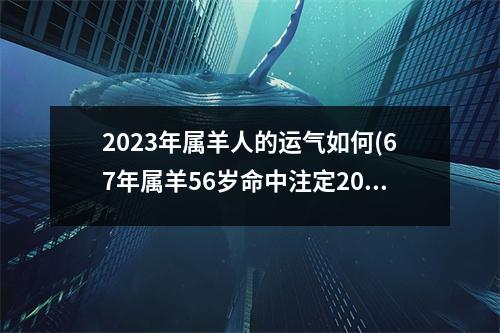 2023年属羊人的运气如何(67年属羊56岁命中注定2023)