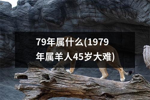 79年属什么(1979年属羊人45岁大难)