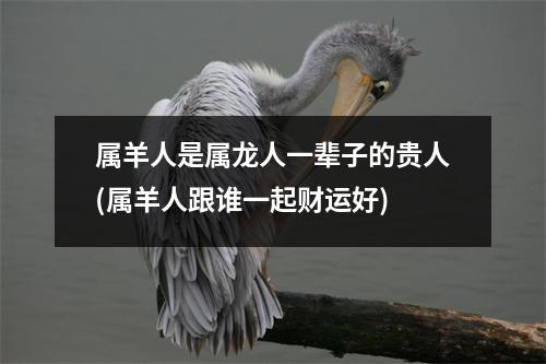 属羊人是属龙人一辈子的贵人(属羊人跟谁一起财运好)