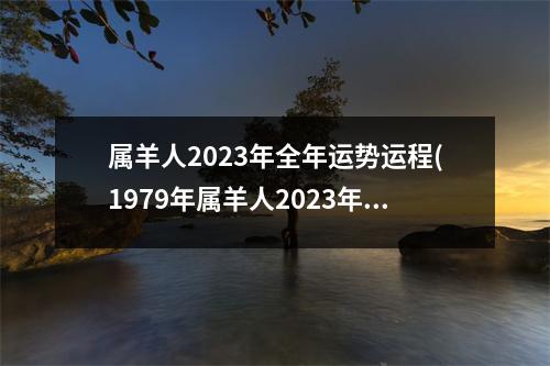 属羊人2023年全年运势运程(1979年属羊人2023年全年运势运程)