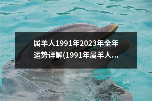 属羊人1991年2023年全年运势详解(1991年属羊人2023年运势)