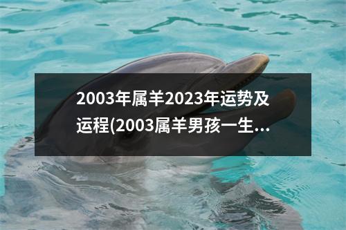 2003年属羊2023年运势及运程(2003属羊男孩一生的命运和贵人)