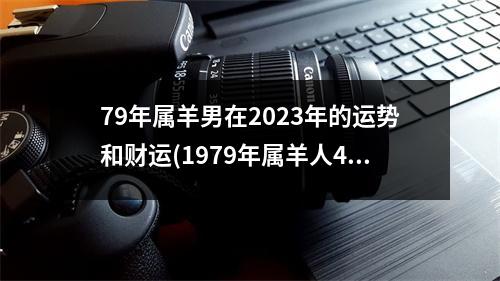 79年属羊男在2023年的运势和财运(1979年属羊人45岁大难)