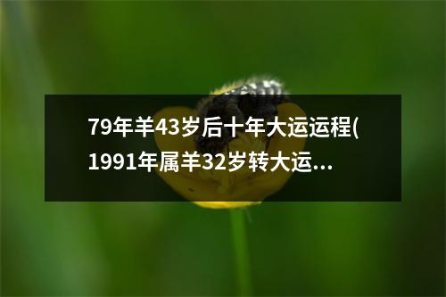 79年羊43岁后十年大运运程(1991年属羊32岁转大运)