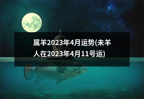 属羊2023年4月运势(未羊人在2023年4月11号运)