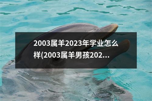 2003属羊2023年学业怎么样(2003属羊男孩2023年高考运势)