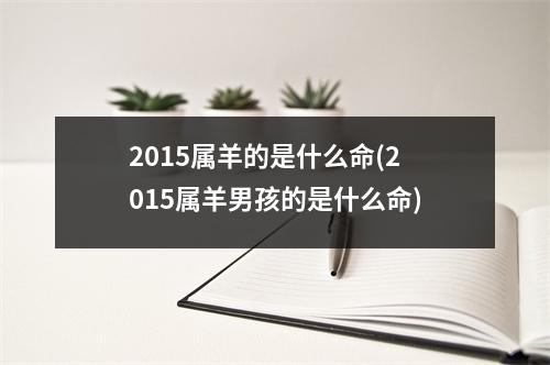 2015属羊的是什么命(2015属羊男孩的是什么命)