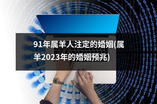 91年属羊人注定的婚姻(属羊2023年的婚姻预兆)