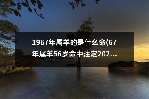 1967年属羊的是什么命(67年属羊56岁命中注定2023)