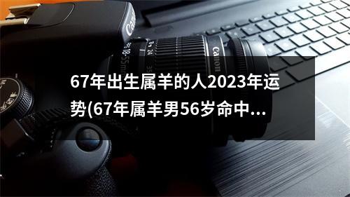 67年出生属羊的人2023年运势(67年属羊男56岁命中注定2023)