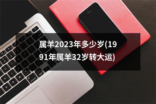 属羊2023年多少岁(1991年属羊32岁转大运)