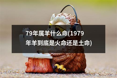 79年属羊什么命(1979年羊到底是火命还是土命)