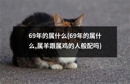 69年的属什么(69年的属什么,属羊跟属鸡的人般配吗)