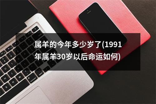 属羊的今年多少岁了(1991年属羊30岁以后命运如何)