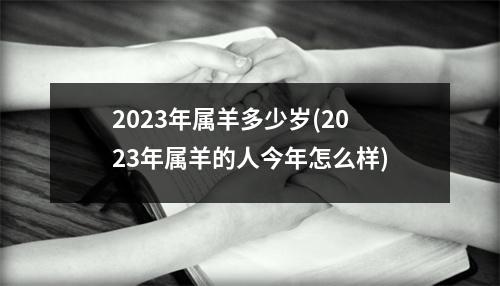 2023年属羊多少岁(2023年属羊的人今年怎么样)