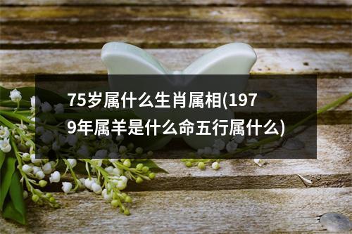 75岁属什么生肖属相(1979年属羊是什么命五行属什么)