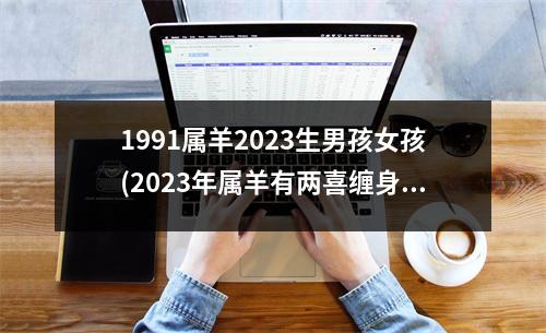 1991属羊2023生男孩女孩(2023年属羊有两喜缠身)