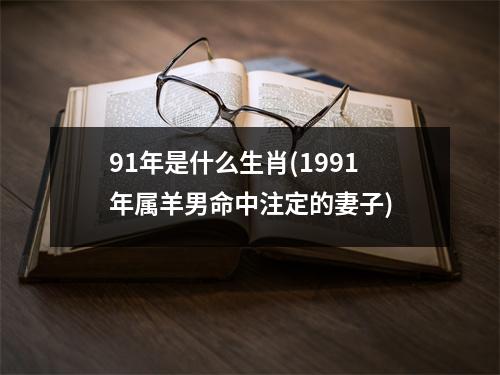 91年是什么生肖(1991年属羊男命中注定的妻子)