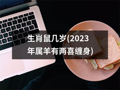 生肖鼠几岁(2023年属羊有两喜缠身)