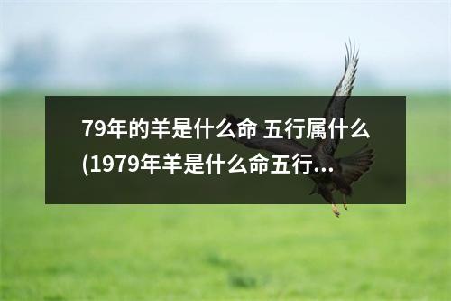 79年的羊是什么命 五行属什么(1979年羊是什么命五行属什么)