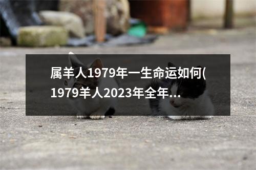 属羊人1979年一生命运如何(1979羊人2023年全年运势详解)