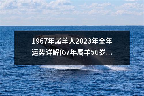 1967年属羊人2023年全年运势详解(67年属羊56岁命中注定2023)