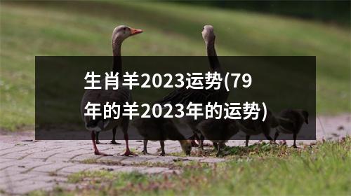 生肖羊2023运势(79年的羊2023年的运势)