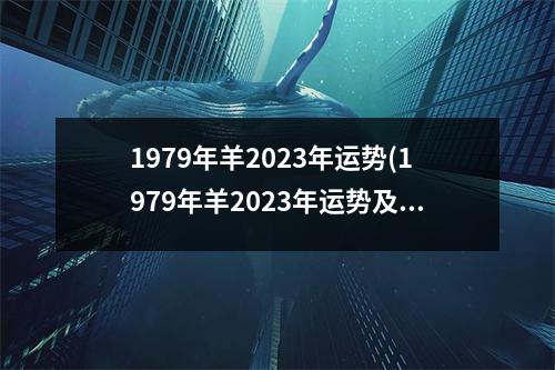 1979年羊2023年运势(1979年羊2023年运势及运程每月运程)