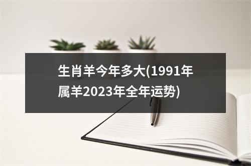 生肖羊今年多大(1991年属羊2023年全年运势)