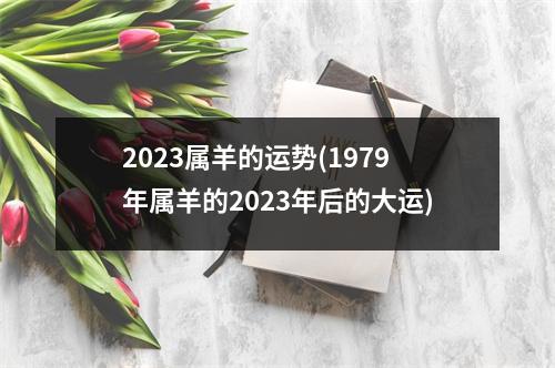 2023属羊的运势(1979年属羊的2023年后的大运)