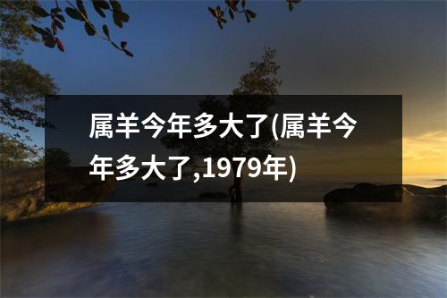 属羊今年多大了(属羊今年多大了,1979年)