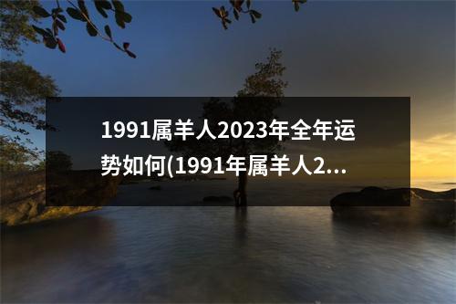 1991属羊人2023年全年运势如何(1991年属羊人2023年全年运势详解)