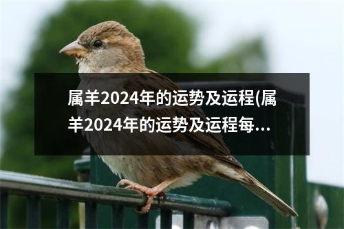 属羊2024年的运势及运程(属羊2024年的运势及运程每月运气如何)