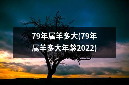 79年属羊多大(79年属羊多大年龄2022)