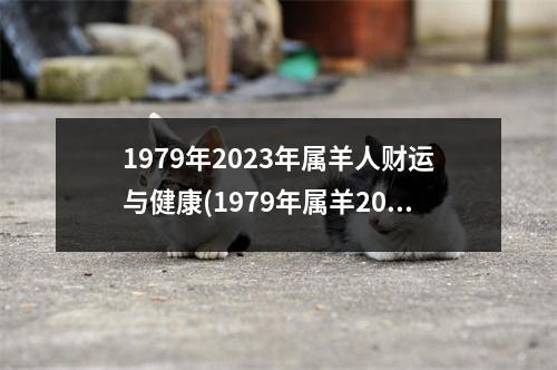 1979年2023年属羊人财运与健康(1979年属羊2023发大财)