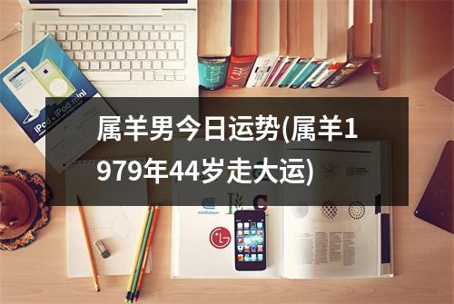 属羊男今日运势(属羊1979年44岁走大运)