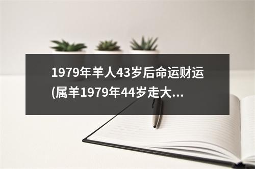 1979年羊人43岁后命运财运(属羊1979年44岁走大运)