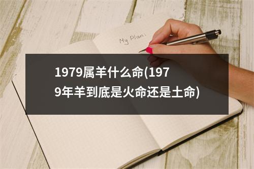 1979属羊什么命(1979年羊到底是火命还是土命)