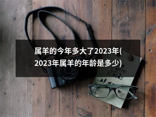 属羊的今年多大了2023年(2023年属羊的年龄是多少)