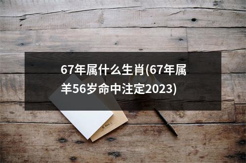 67年属什么生肖(67年属羊56岁命中注定2023)