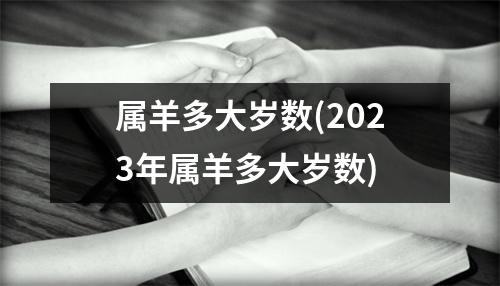 属羊多大岁数(2023年属羊多大岁数)