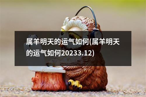 属羊明天的运气如何(属羊明天的运气如何20233.12)