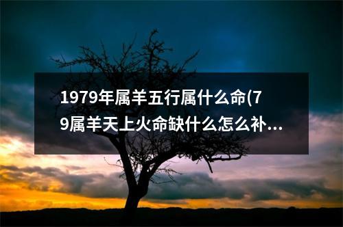 1979年属羊五行属什么命(79属羊天上火命缺什么怎么补)