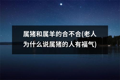 属猪和属羊的合不合(老人为什么说属猪的人有福气)