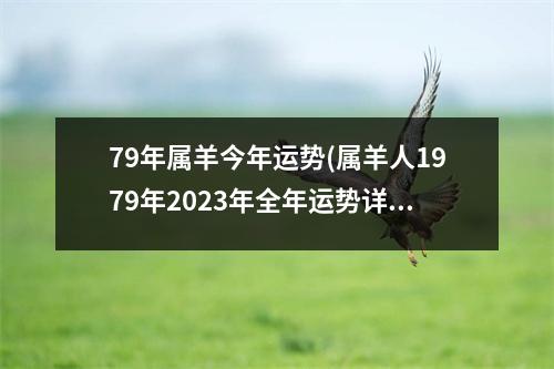 79年属羊今年运势(属羊人1979年2023年全年运势详解)