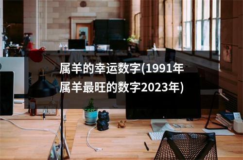 属羊的幸运数字(1991年属羊旺的数字2023年)